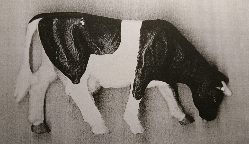 Komposition